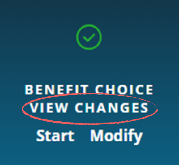 A blue box decorated with a green checkmark at the top. Below this it's labeled BENEFIT CHOICE. with three options. 